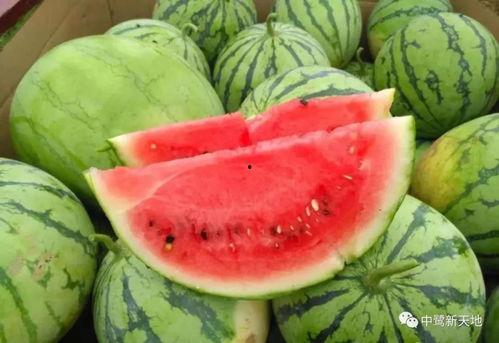 莱州今日吃瓜爆料视频